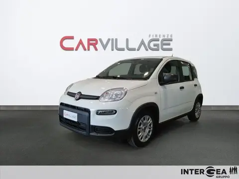 Used FIAT PANDA Hybrid 2024 Ad 