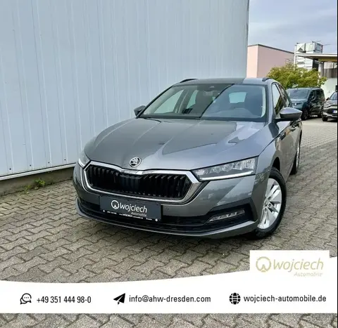 Used SKODA OCTAVIA Petrol 2024 Ad 