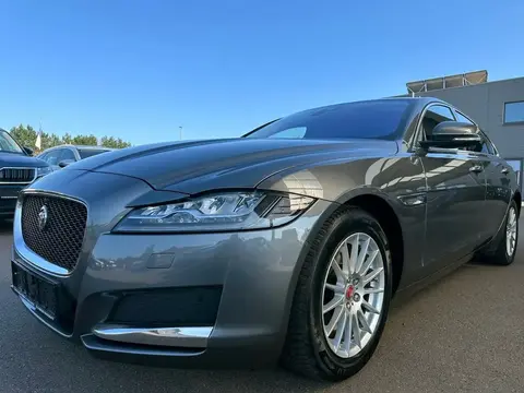 Annonce JAGUAR XF Diesel 2018 d'occasion 