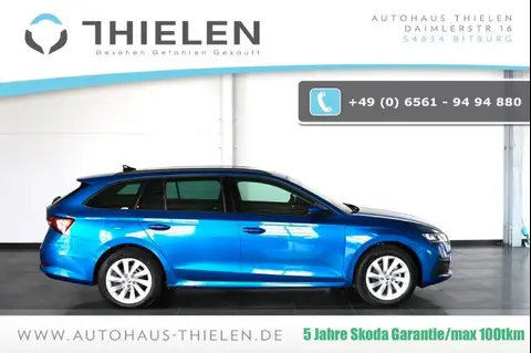 Annonce SKODA OCTAVIA Diesel 2024 d'occasion 