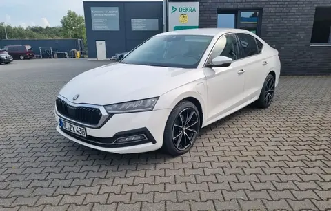 Used SKODA OCTAVIA Hybrid 2020 Ad 