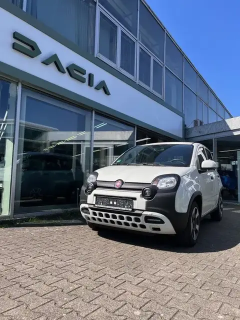 Used FIAT PANDA Hybrid 2023 Ad 