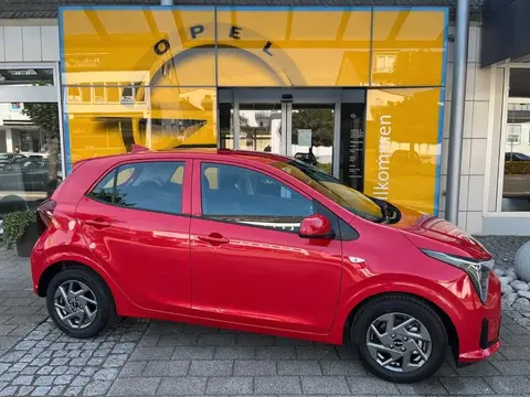 Annonce KIA PICANTO Essence 2024 d'occasion 