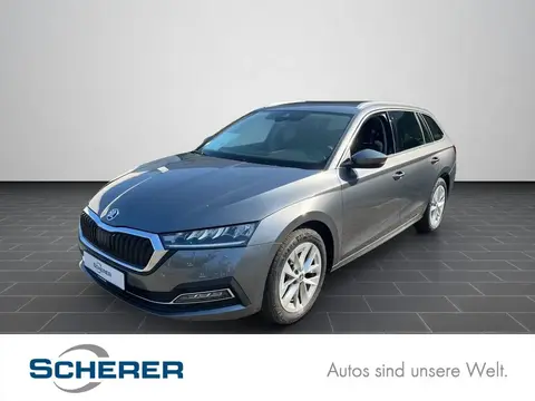 Used SKODA OCTAVIA Petrol 2023 Ad 