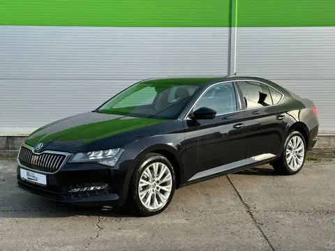 Used SKODA SUPERB Diesel 2023 Ad 