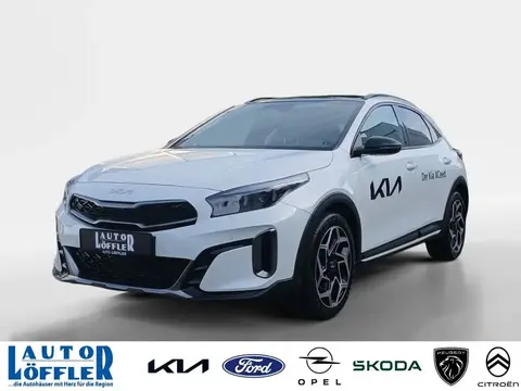 Used KIA XCEED Petrol 2024 Ad 