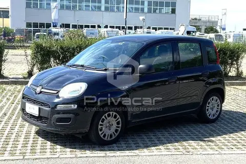 Used FIAT PANDA Hybrid 2021 Ad 