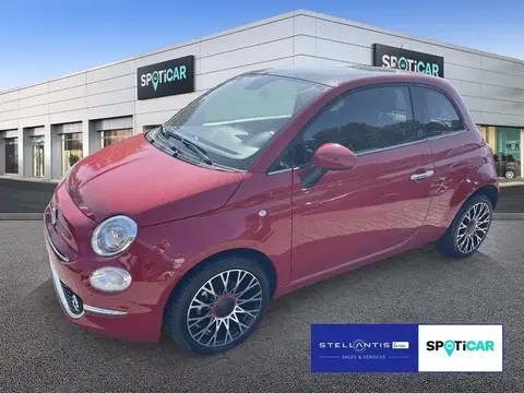 Used FIAT 500 Petrol 2023 Ad 