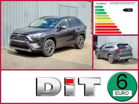 Used TOYOTA RAV4 Hybrid 2024 Ad Germany