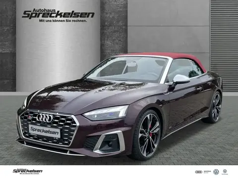 Used AUDI S5 Petrol 2021 Ad 