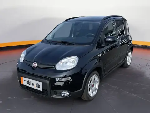 Used FIAT PANDA Petrol 2024 Ad 