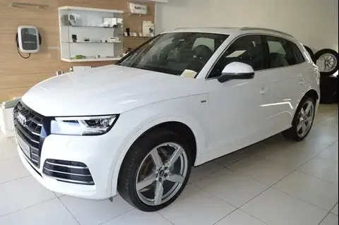 Used AUDI Q5 Hybrid 2020 Ad 