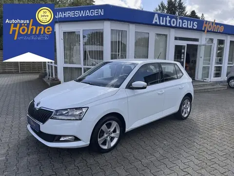 Used SKODA FABIA Petrol 2019 Ad 