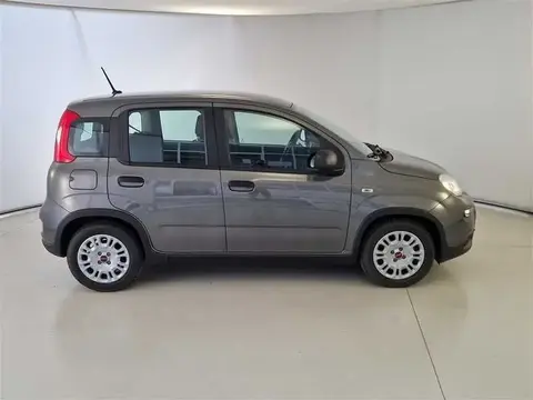 Used FIAT PANDA Hybrid 2023 Ad 