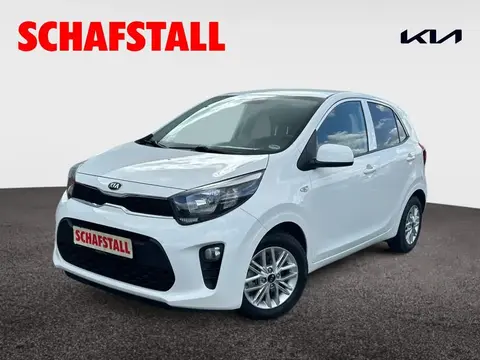 Used KIA PICANTO Petrol 2021 Ad 