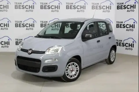 Used FIAT PANDA Petrol 2022 Ad 