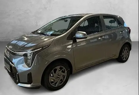 Used KIA PICANTO Petrol 2024 Ad 