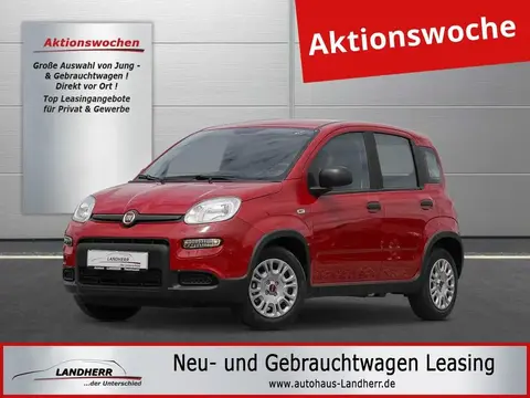 Annonce FIAT PANDA Essence 2024 d'occasion 