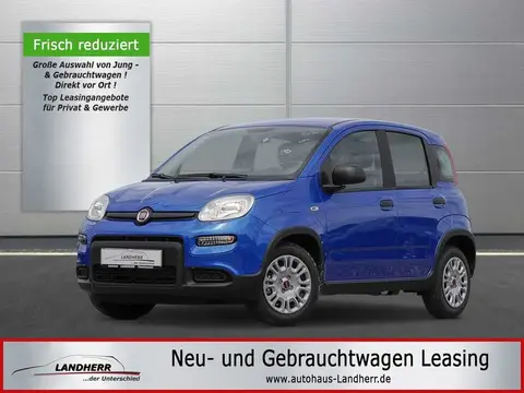 Used FIAT PANDA Petrol 2024 Ad 