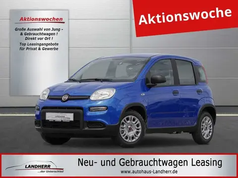 Annonce FIAT PANDA Essence 2024 d'occasion 