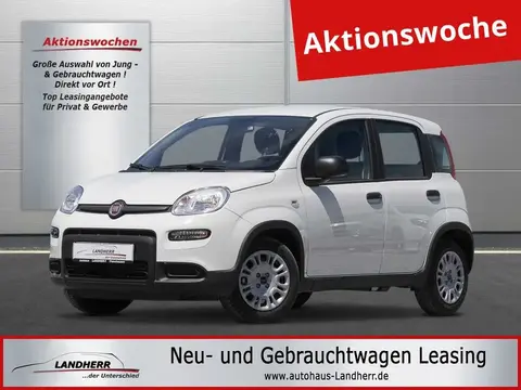 Annonce FIAT PANDA Essence 2024 d'occasion 