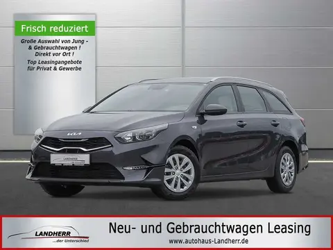 Used KIA CEED Petrol 2022 Ad 