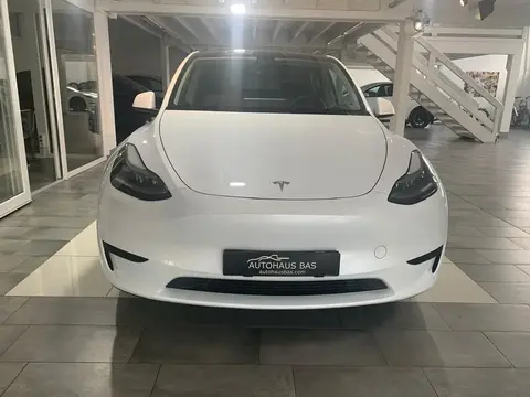 Used TESLA MODEL Y Not specified 2023 Ad 