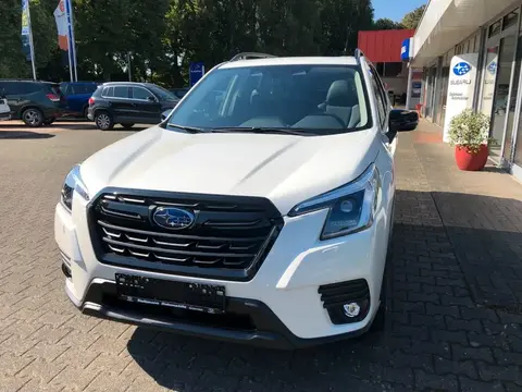 Used SUBARU FORESTER Hybrid 2024 Ad 