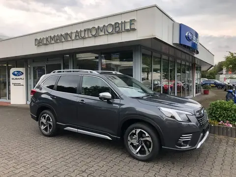 Used SUBARU FORESTER Hybrid 2024 Ad 