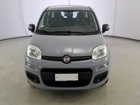 Annonce FIAT PANDA Essence 2019 d'occasion 