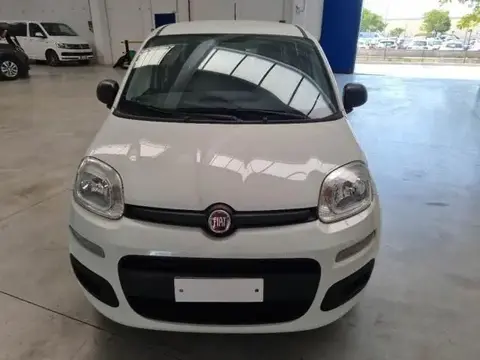 Annonce FIAT PANDA Essence 2020 d'occasion 