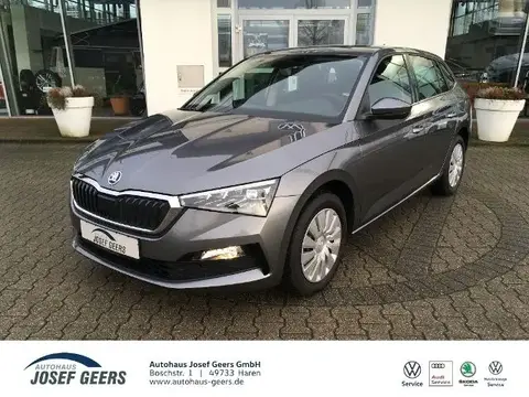 Used SKODA SCALA Petrol 2023 Ad 