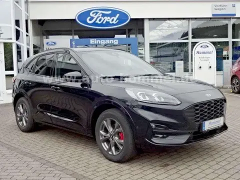 Used FORD KUGA Hybrid 2024 Ad 