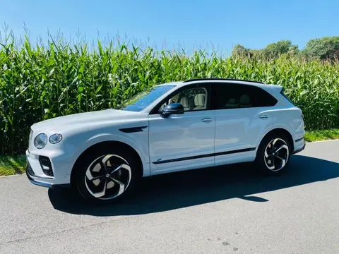 Annonce BENTLEY BENTAYGA Essence 2023 d'occasion 