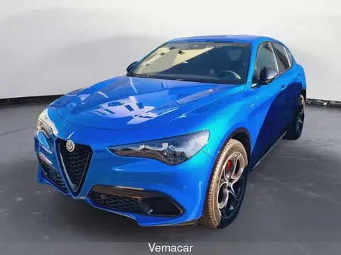 Used ALFA ROMEO STELVIO Diesel 2023 Ad 