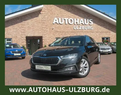 Used SKODA OCTAVIA Diesel 2020 Ad 