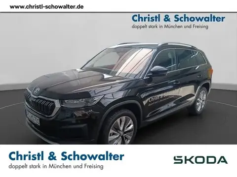 Used SKODA KODIAQ Diesel 2023 Ad 