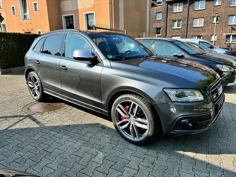 Used AUDI SQ5 Diesel 2016 Ad 