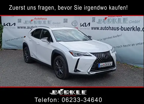 Used LEXUS UX Hybrid 2020 Ad 