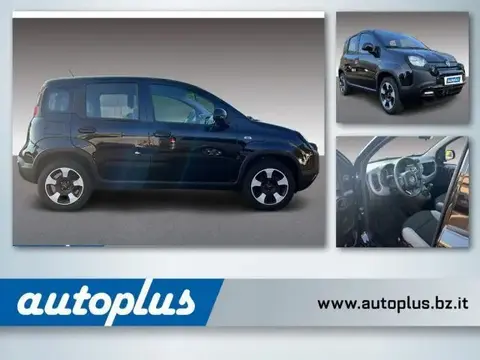 Used FIAT PANDA Hybrid 2023 Ad 