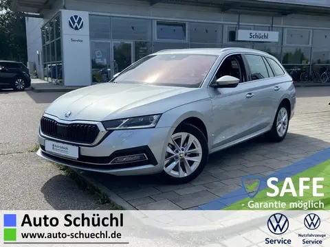 Used SKODA OCTAVIA Diesel 2021 Ad 