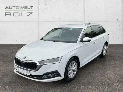 Used SKODA OCTAVIA Diesel 2023 Ad 