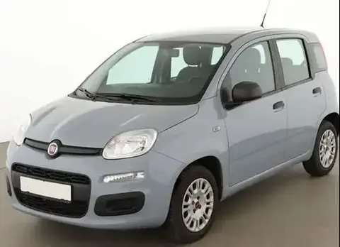 Annonce FIAT PANDA Essence 2018 d'occasion 