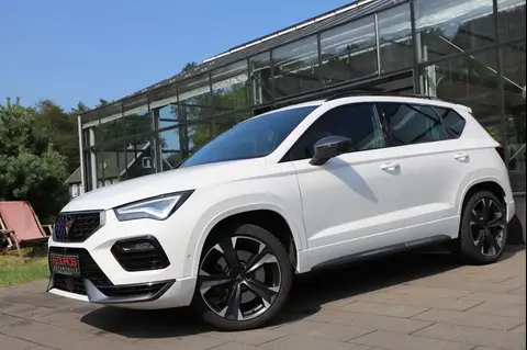 Used CUPRA ATECA Petrol 2024 Ad 