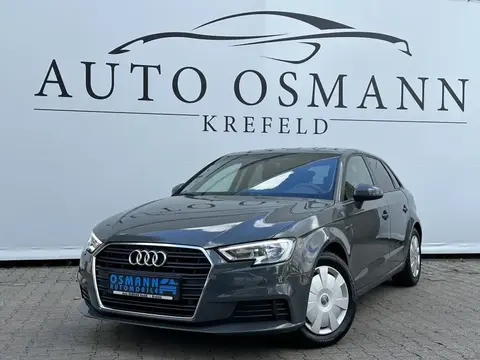 Annonce AUDI A3 Diesel 2019 d'occasion 