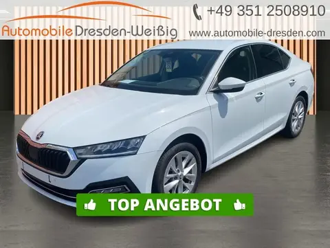 Annonce SKODA OCTAVIA Essence 2023 d'occasion 