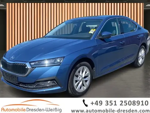 Used SKODA OCTAVIA Petrol 2021 Ad 