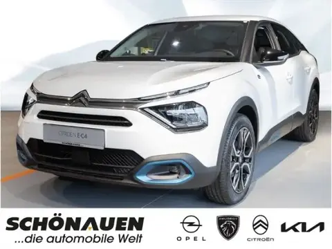 Annonce CITROEN C4 Non renseigné 2024 d'occasion 