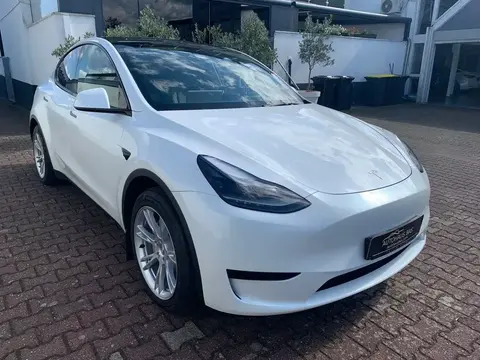 Used TESLA MODEL Y Not specified 2023 Ad 