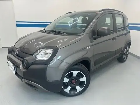 Annonce FIAT PANDA Hybride 2021 d'occasion 